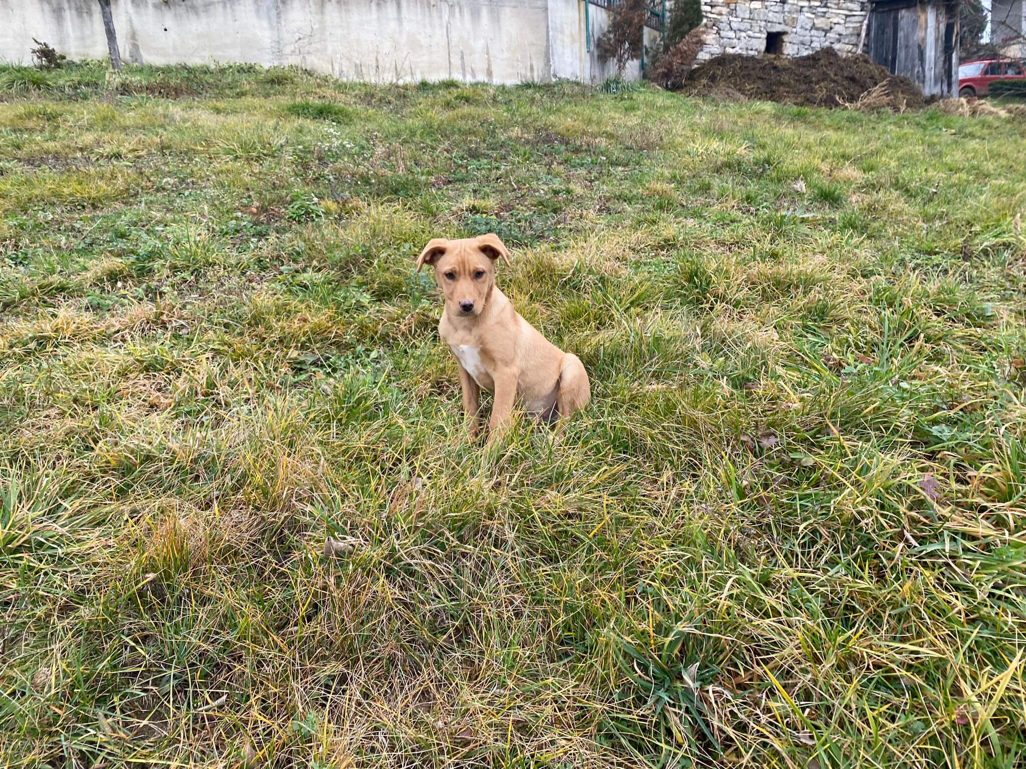 Marlo 4